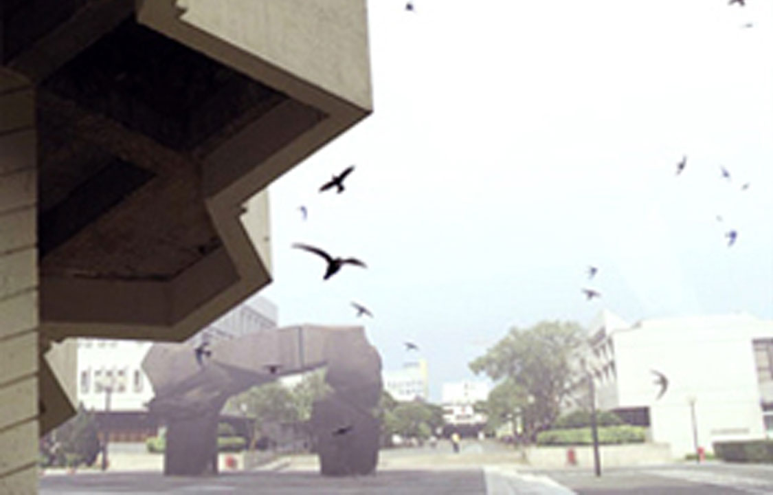 B5 House Swift Colony at the University Library