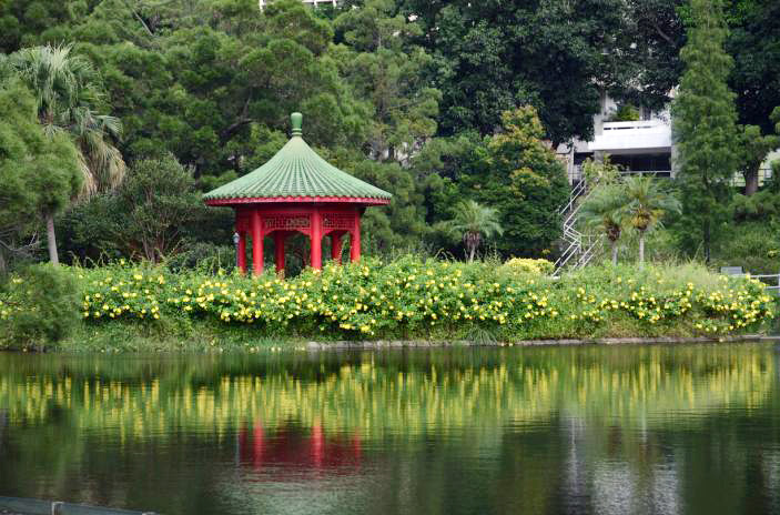 Weiyuan Lake