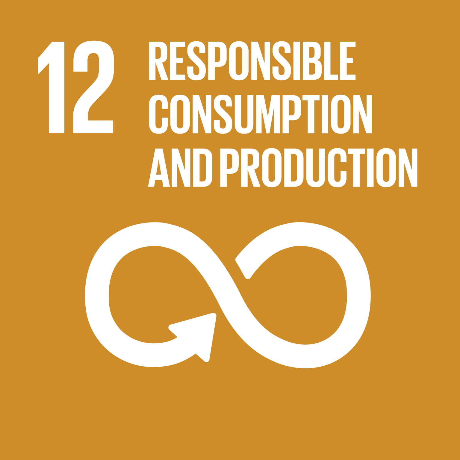 E SDG goals icons individual rgb 12