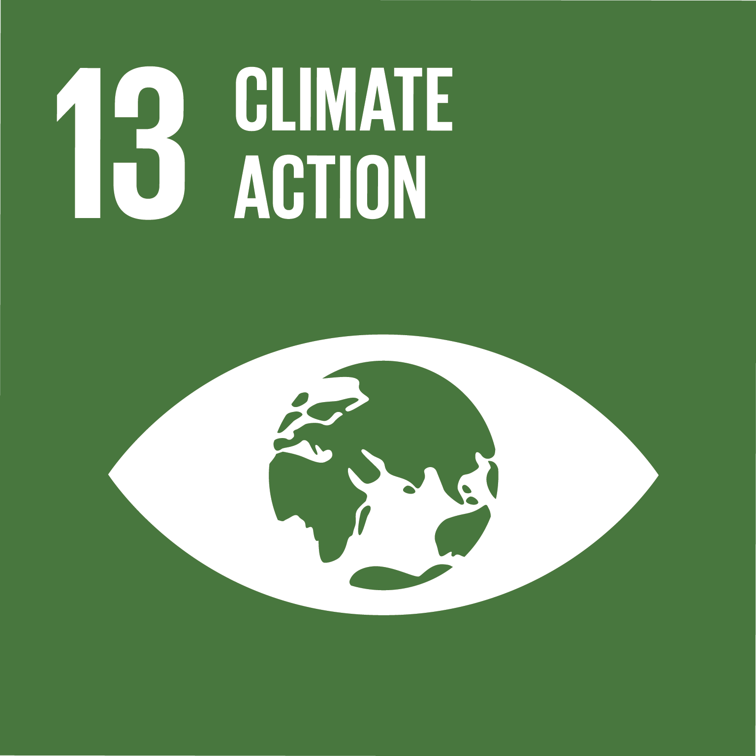 E SDG goals icons individual rgb 13