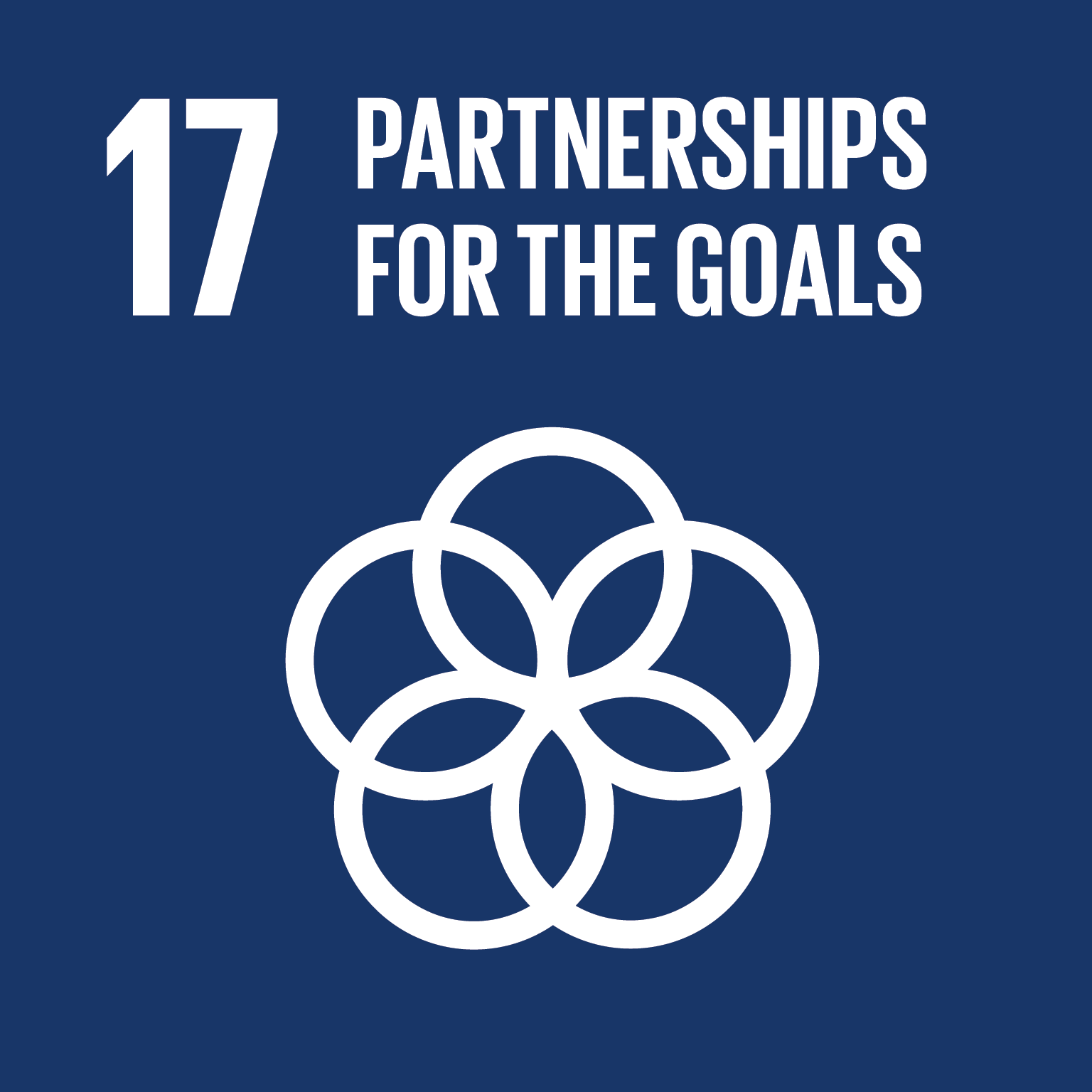 E SDG goals icons individual rgb 17
